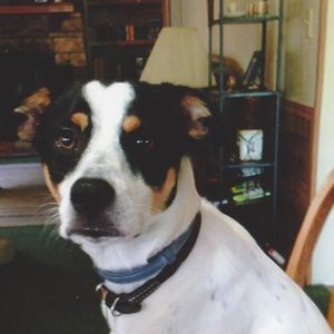 Meet your Posher, Darlene